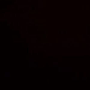 Meet your Posher, Alexander